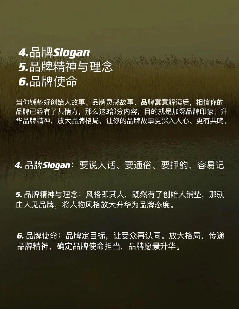 宣传片文案的魅力：讲述品牌故事的艺术